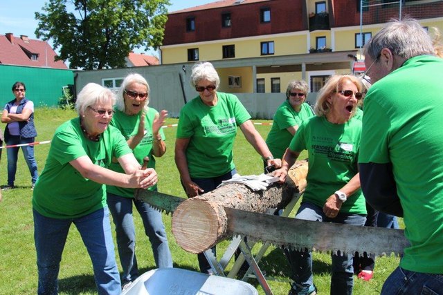 Holzschneiden mit der Zugsäge ist einer der Bewerbe, bei der Senioren-Sicherheits-Olympiade. Teamarbeit ist gefragt