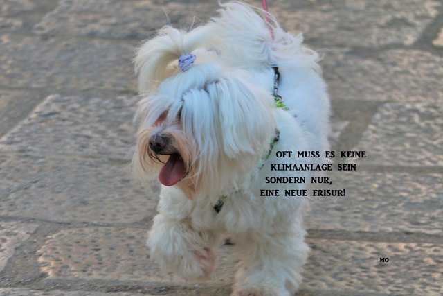 Ich wünsche euch einen wunderschönen, sonnigen Tag!