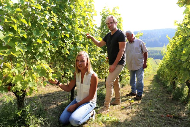 Engagierte Weinbauern: Georg Lexer und Sem Kegley bewirtschaften den 6,5 Hektar großen Weinberg am Fuße des Ulrichsbergs