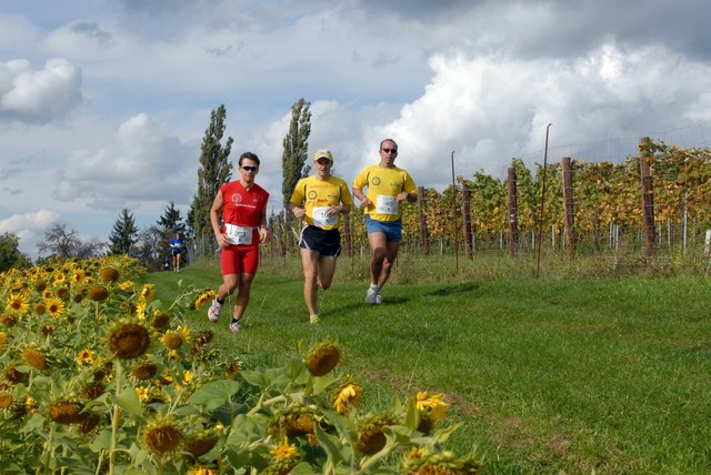 Im Laufschritt geht´s am 1. Oktober beim Buschenschank-Lauf wieder durch Loipersdorf. | Foto: TV Loipersdorf