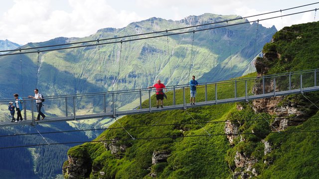 Hängebrücke Panorama