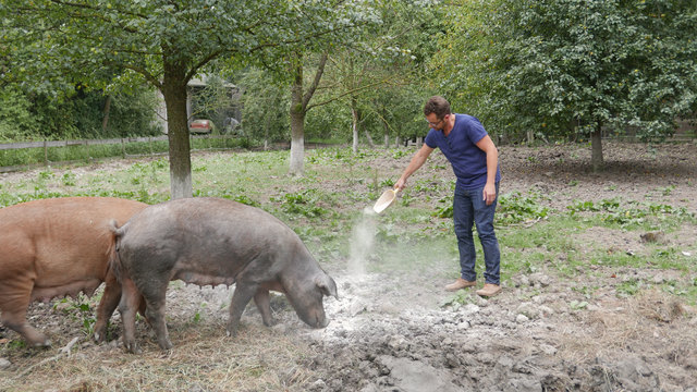 Mit einem kleinen Hof und Selbstvermarktung trotz Hannes Zauner dem Trend in der Landwirtschaft.