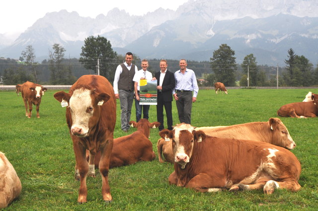 Michael Wurzrainer, Wendelin Juen, Alexander Jeschow und Hansjörg Landmann mit Jahrlingen.