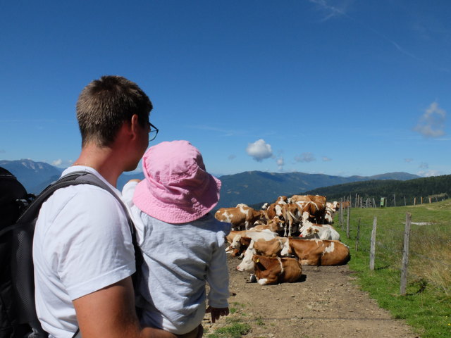 Sophie mit den Kühen auf der Gerlitzen Alpe ;)