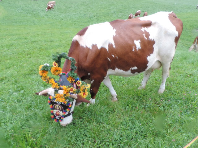 Die Sennerinnen verwöhnen beim Almabtrieb die Besucher mit ihren hausgemachten Köstlichkeiten.
