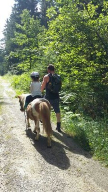 WENN AMÉLIE´S FÜSSE NIMMER KÖNNEN, ANEMONE´S FÜSSE KÖNNEN IMMER..