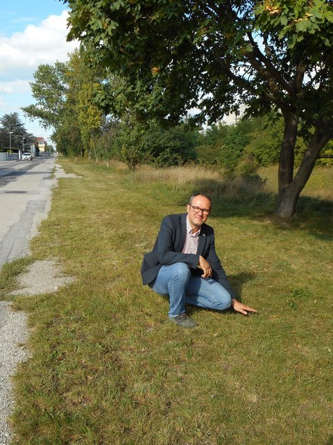 GR Michael Klosterer nach dem schnellen Eingreifen der Stadtgartenverwaltung