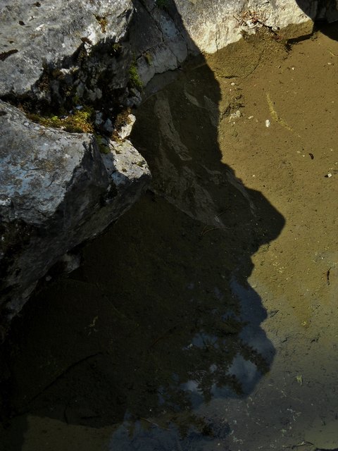 Ein Fels hat dieses Schattenbild im Innbrucker Hofgarten entstehen lassen.