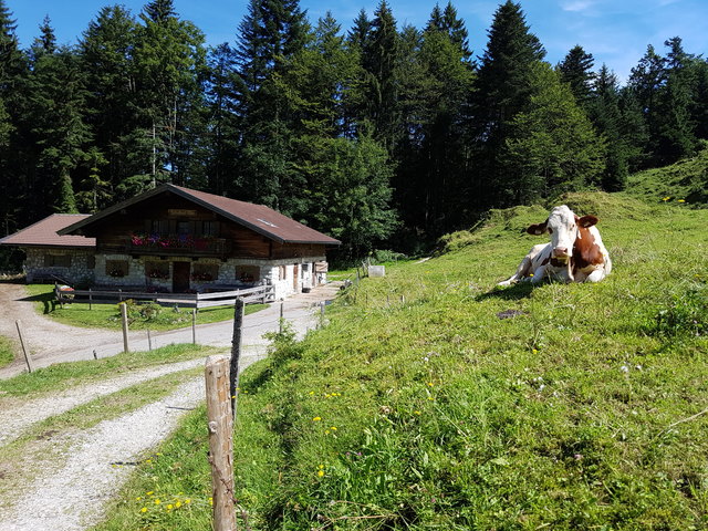 Heidi-Idylle am Zahmen Kaiser in Tirol