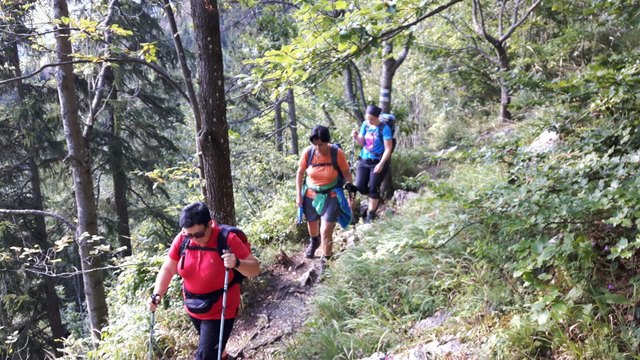 Am Weg nach Mariazell