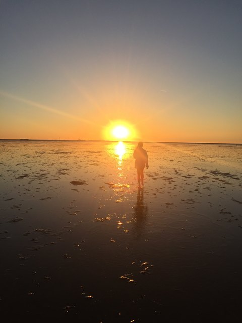 Watt' n Sonnenuntergang ( Wattwanderung in Nordfriesland)