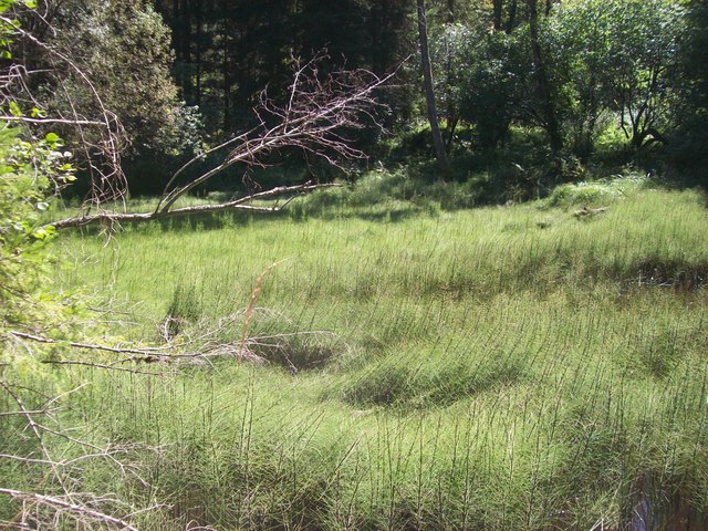 Niederösterreichisches Auenland