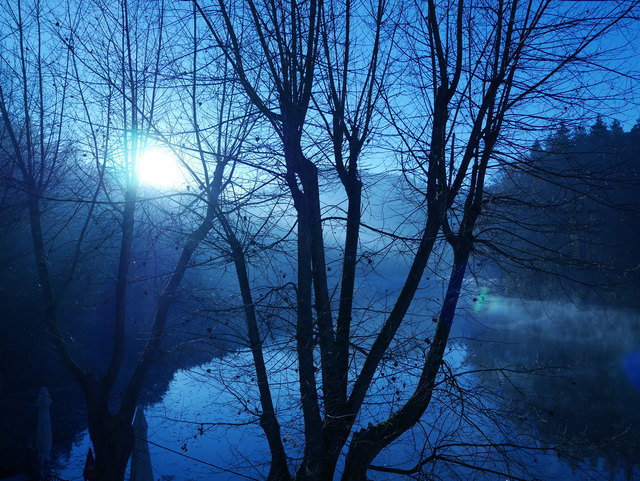 Früh am Morgen am Thalersee