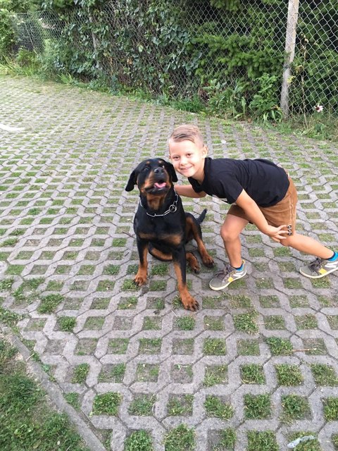 Dreschkirtag Rechnitz 2016