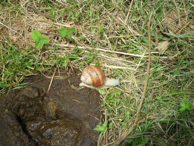 Wanderung vom Söllereck nach Riezlern im Kleinwalsertal. :)