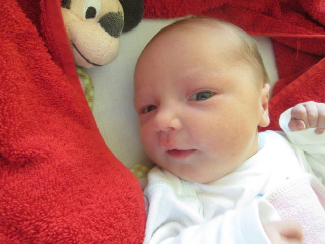 Julia Kraupp (Däubl)
Geboren: 09.09.2016 um 22:22
Größe: 50 cm Gewicht: 3.360 g
Wohnort: 2136 Laa an der Thaya