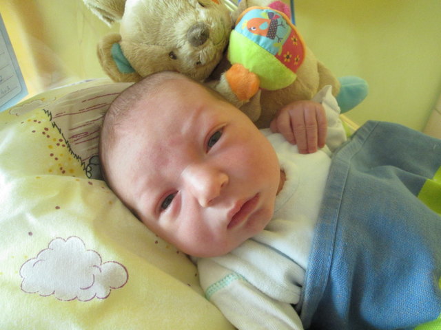 Moritz Hackl
Geboren: 17.09.2016 um 02:50
Größe: 52 cm Gewicht: 3.790 g
Wohnort: 2170 Obernlüß