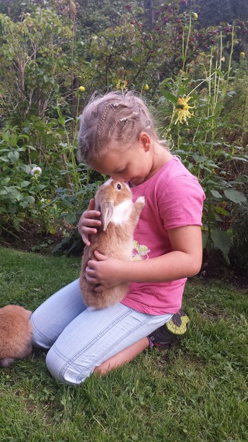 Auch die kleinen Tierliebhaber können die süßen Kaninchen streicheln | Foto: Privat