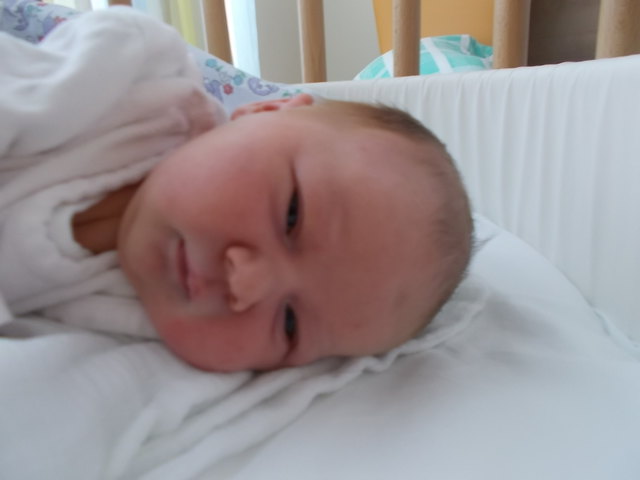 Nicole Zechmeister
Geboren: 11.09.2016 um 06:05
Größe: 49 cm Gewicht: 3.420 g
Wohnort: 2171 Herrnbaumgarten