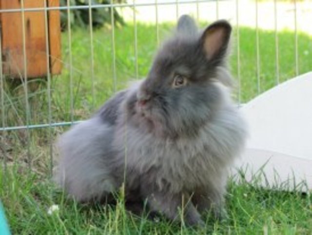 Unser Malibu