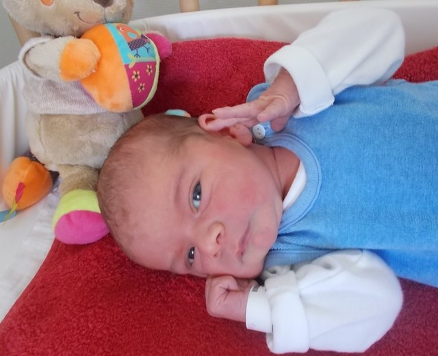 Raphael Retzl
Geboren: 12.09.2016 um 07:24
Größe: 54 cm Gewicht: 3.740 g
Wohnort: 2144 Altlichtenwarth