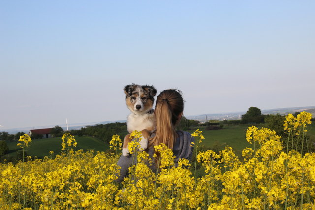 Wanderausflug in Wiesen