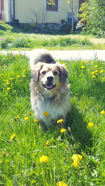 Charly :-)