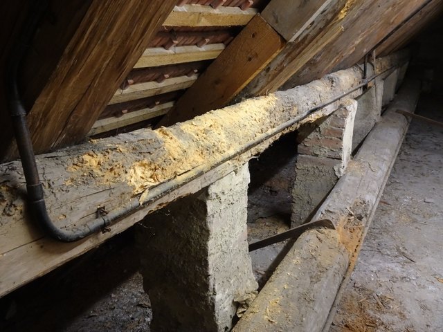 Schäden beeinträchtigen die Dachstuhlkonstruktion der Stadtpfarrkirche Traismauer: Der alte Dachstuhl der Stadtpfarre Traismauer steht nun vor der Sanierung. | Foto: zVg / Stadtpfarre