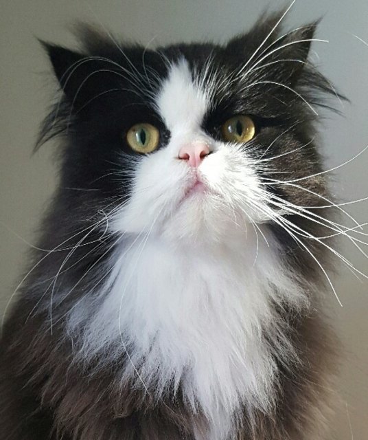 Hier bin ich der Herr im Haus