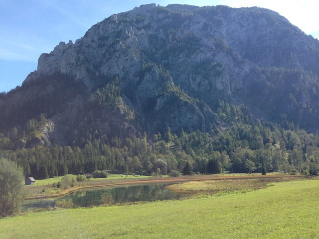 Der See schlängelt si a bissl wie a träger Fluss durch a moorige schilfige Landschaft...