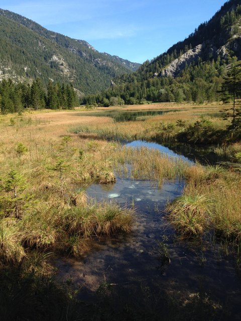 Wirkt a bissl wie a Hochmoor und sehr sumpfig... Dabei hab i kaane Gelsn wahrgnommen...
