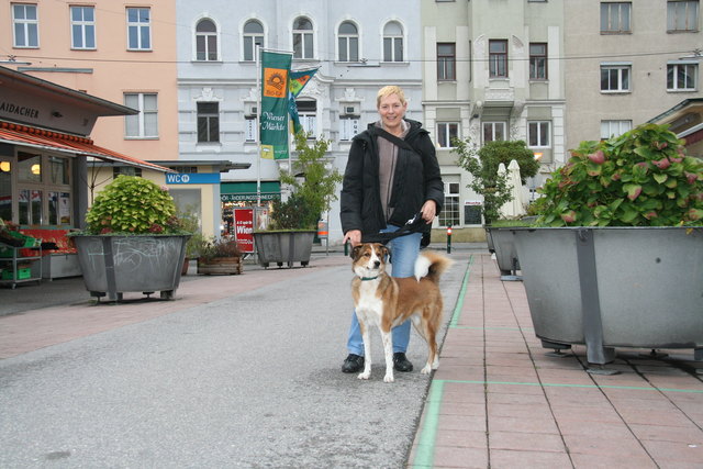 Die zukünftige Bezirksvorsteherin Uschi Lichtenegger stellt ihr Team bis November neu auf. | Foto: Foto: Pufler