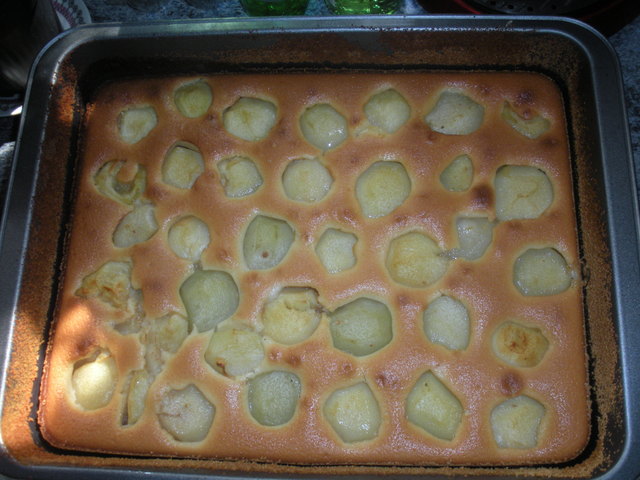 Weingartenpfirsichkuchen