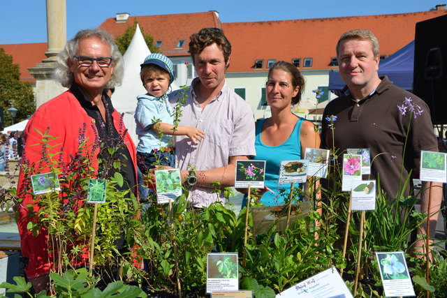 Pflanzenraritäten und Bio-Produkte lockten beim 19. Bio-Fest auf den Hauptplatz Fürstenfeld.