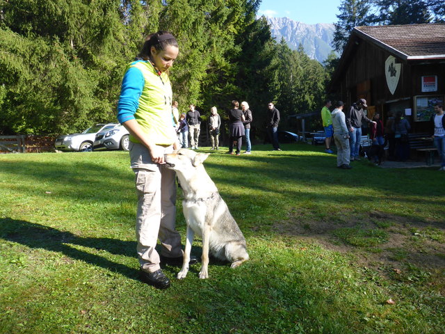 Obfrau Sara Hafele mit ihrem tschechoslowakischen Wolfshund