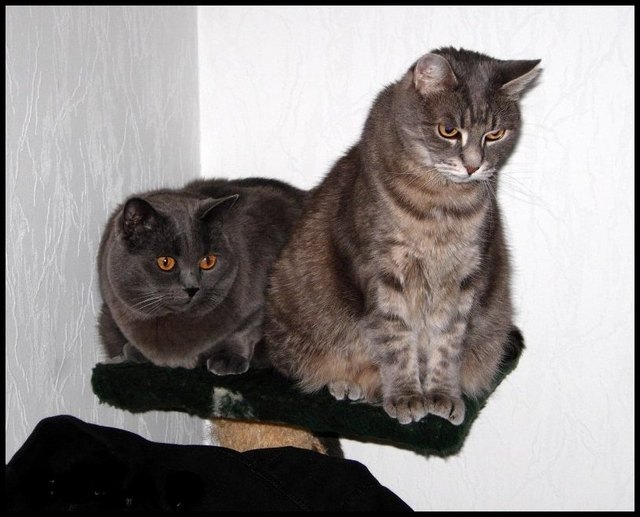Marie & Binki