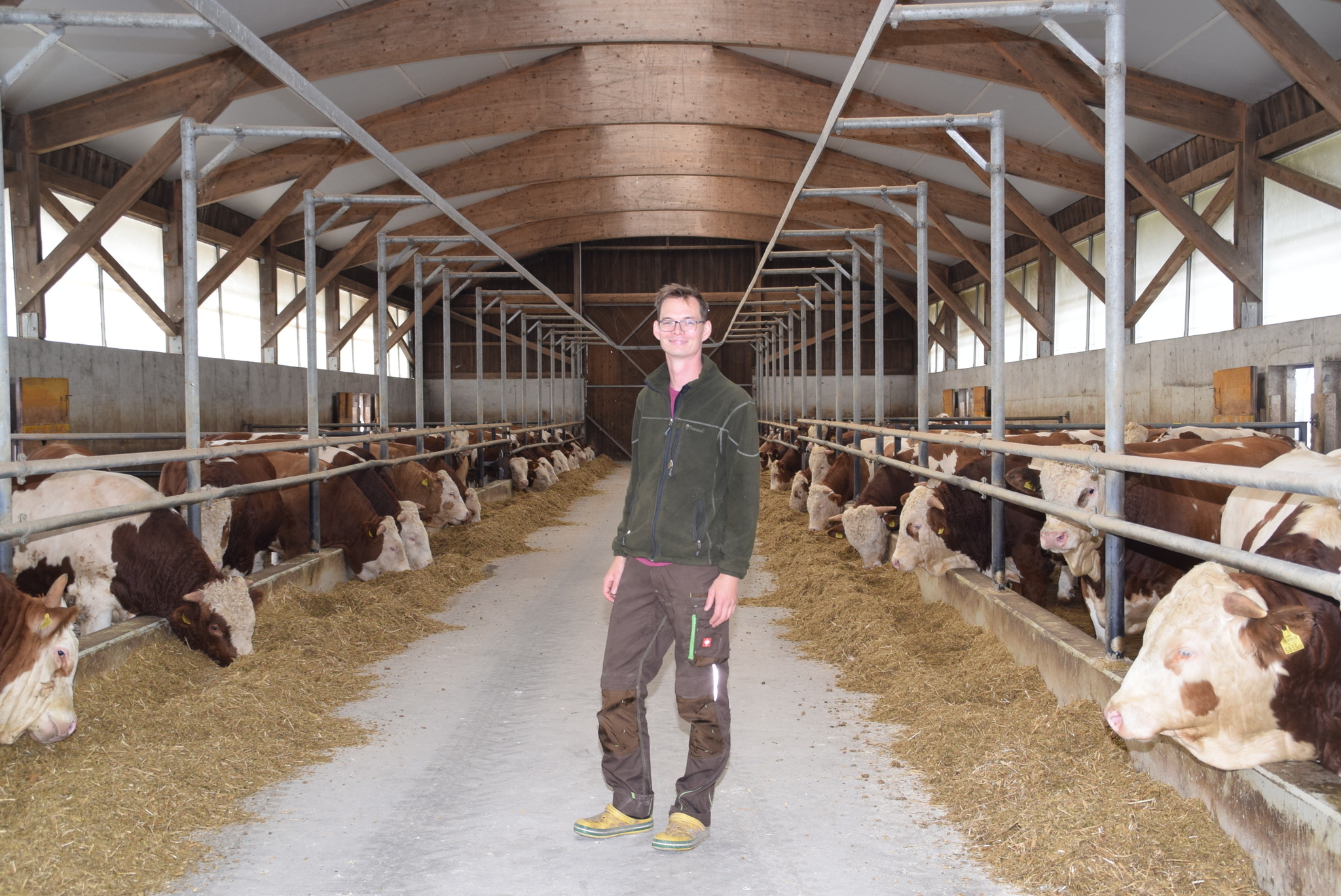 Rindfleisch-Preis ist im Keller - Horn