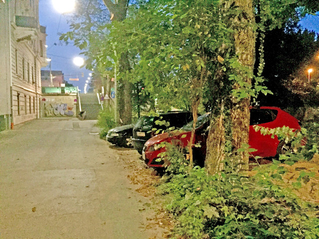 Diese Grünfläche neben der Keplerbrücke wird zum Parkplatz.