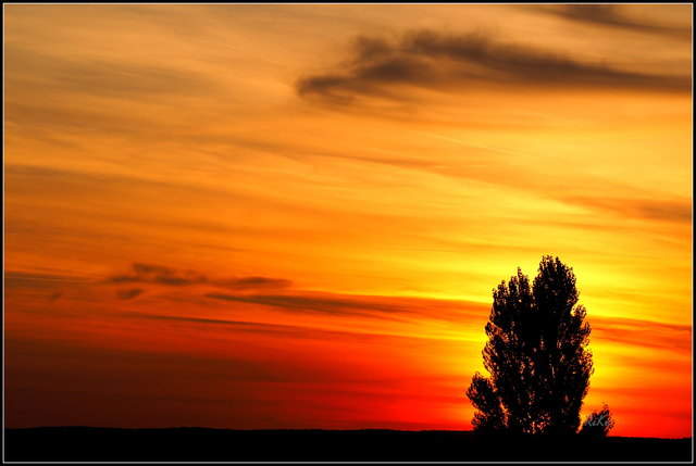 Von meinem Balko aus gesehen