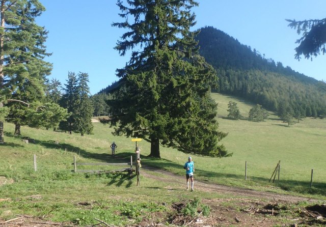 Geschafft - wieder im "leichten" Gelände nach der Schoberkapelle