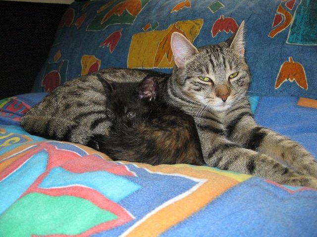 Unsere Mädchen Gina & Bonny 