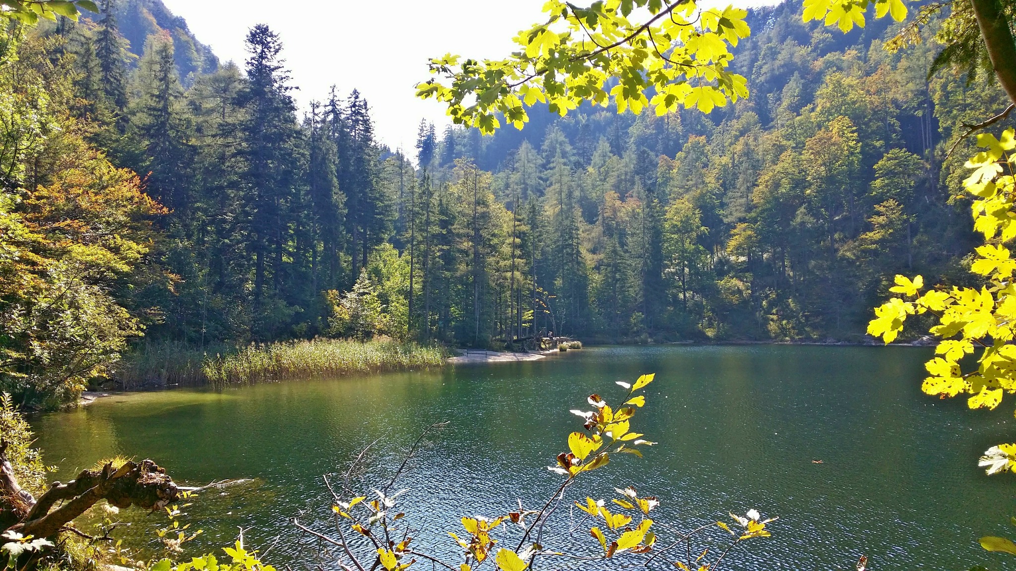 Der Eibensee in Fuschl SalzburgStadt