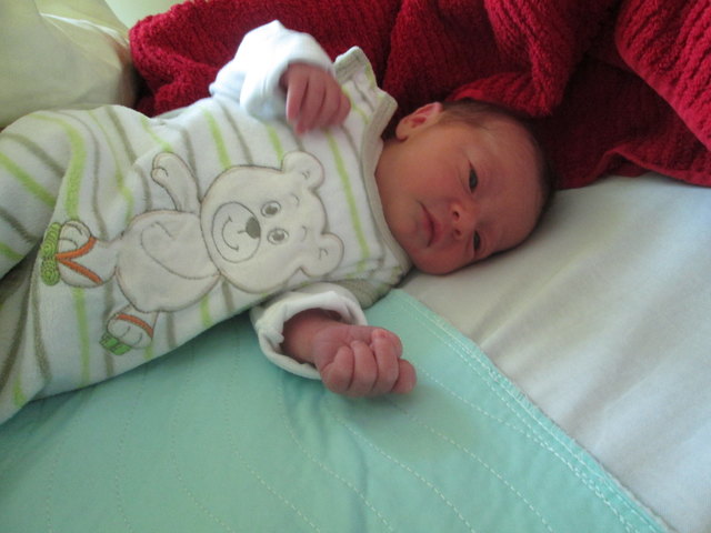 Hannah Batoha
Geboren: 25.09.2016 um 03:44
Größe: 47 cm Gewicht: 2.450 g
Wohnort: 2136 Laa a. d. Thaya