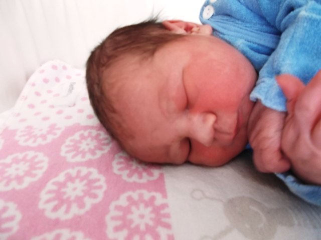 Stefan Schrottmeyer
Geboren: 21.09.2016 um 02:06
Größe: 53 cm Gewicht: 3.978 g
Wohnort: 2275 Bernhardsthal