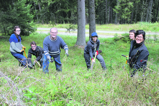 Am Plan standen u.a. Aufforstungen.