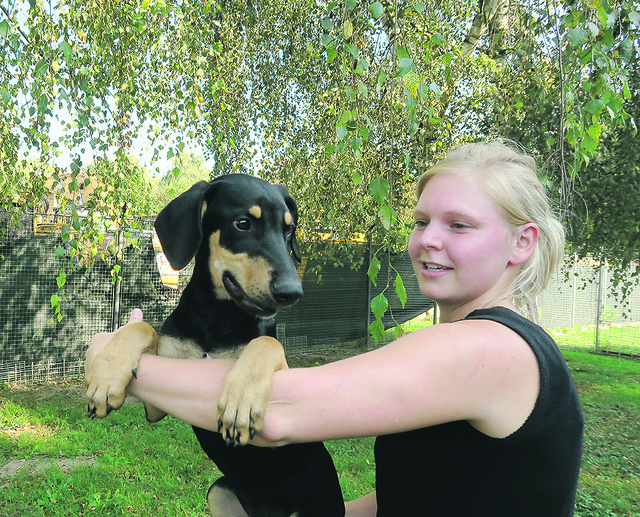 Pflege und Zuneigung sind gefragt: Tierpflegerin Sabrina Holzner mit einem ihrer Schützlinge im Linzer Tierheim.