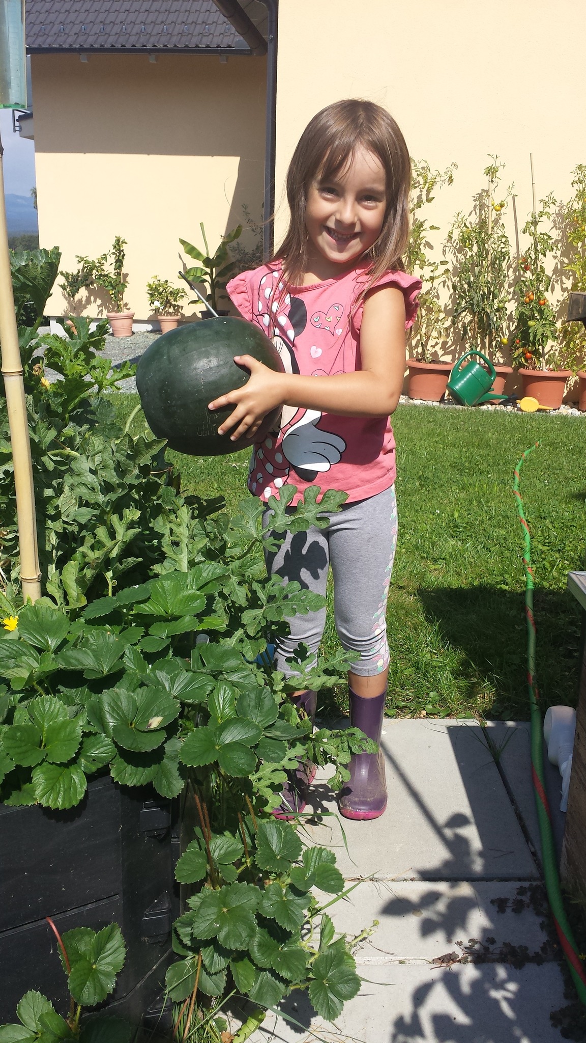 47+ Gemüsegarten Melone, Wenn die melonen im gemüsebeet kultiviert