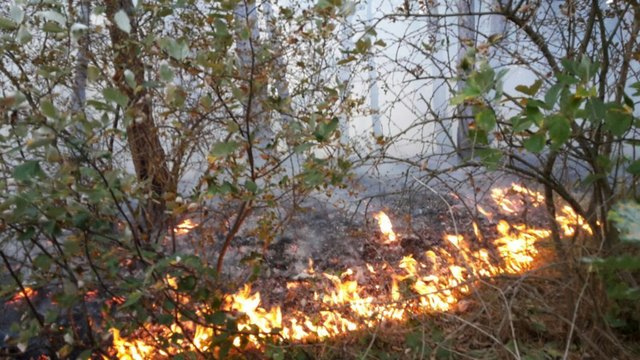 Foto: FF Mödling