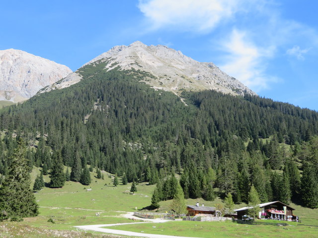 Gleich östlich der Tillfussalm, kaum eine Viertelstunde Gehzeit entfernt, lockt die nächste Einkehr: die einladende Gaistalalm auf 1366m