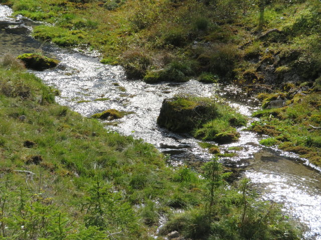 Hier sammelt sich erstmals aus vielen versteckten Quellen das Wasser zu einem kleinen Rinnsal, das in diesem Gebiet noch Gaistalbach genannt wird